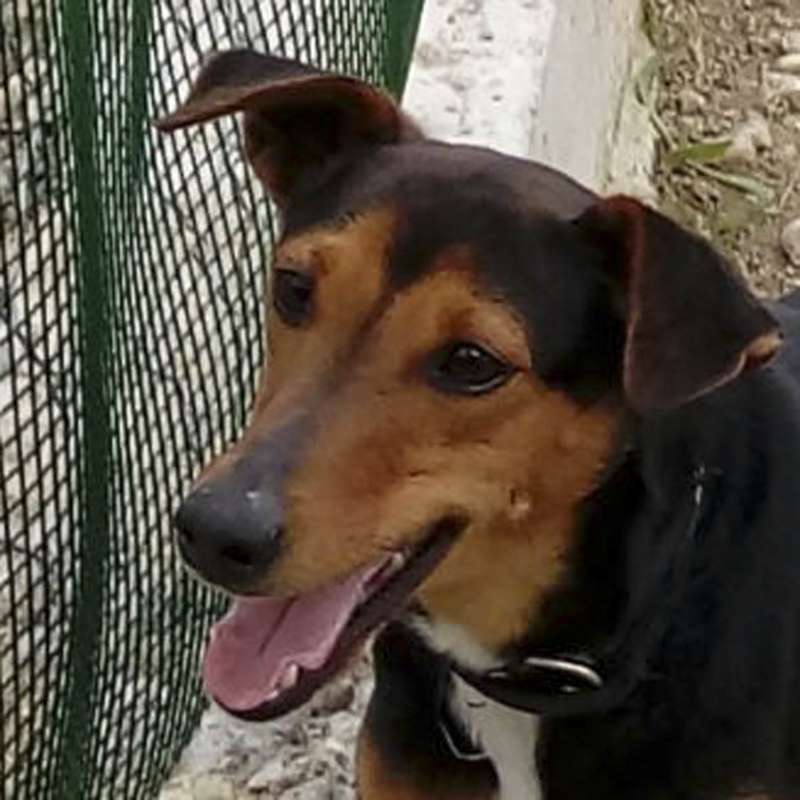 Pompa