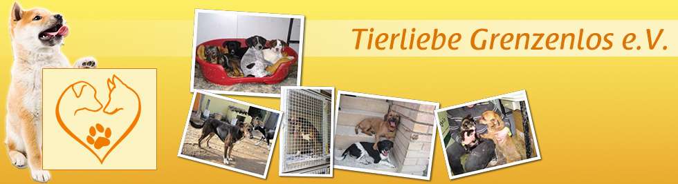tierliebe grenzenlos