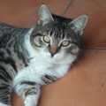 Bruno - 6 Monate