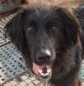 Petra - adoptiert in Deutschland