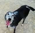 Valentina - adoptiert in Deutschland