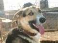 Akiles - adoptiert in Deutschland