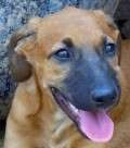 Triana - adoptiert in Deutschland