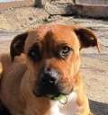 Lia - adoptiert in Deutschland