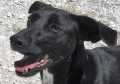 Elsa - adoptiert in Deutschland