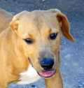 Bernhard - adoptiert in Spanien
