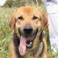 Kioto - adoptiert in Spanien