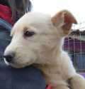 Grunona - adoptiert in Spanien