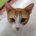Daryl - 2 1/2 Jahre