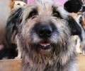 Lina - adoptiert in Deutschland