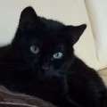 Lucy - adoptiert