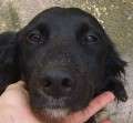 Jaco L. - adoptiert in Spanien